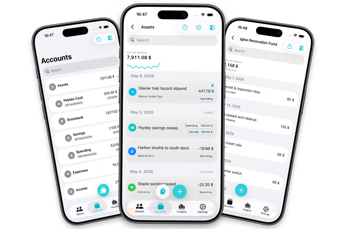 PennyBird screens showing account lists, transaction history, and shared expense tracking